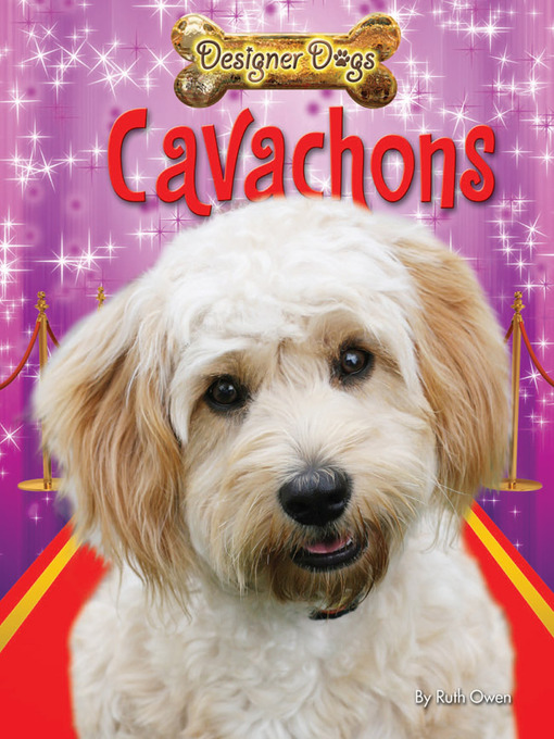 Cover image for Cavachons